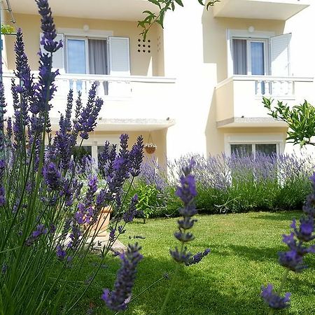Apartment Branka Banjol Exteriér fotografie